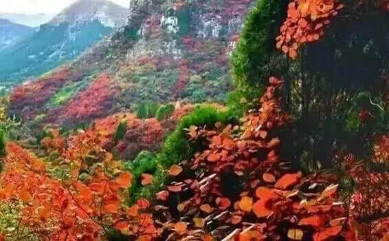 人均88元承包高颜值别墅！泡温泉+烧烤+麻将+唱k+开趴…2天1夜high翻天！