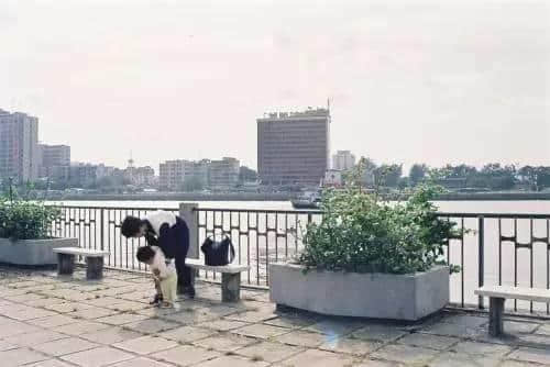 拆唔走嘅广州旧记忆,这么近那么远…… 拆唔走嘅广州旧记忆,这么近那么远……