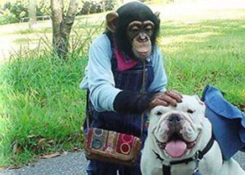 《阿笨与阿占》嘅阿占走咗,呢对童年CP你仲记得吗? 《阿笨与阿占》嘅阿占走咗,呢对童年CP你仲记得吗?