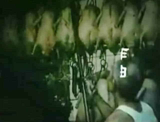 呢部系最早期嘅关于广州青年嘅电影,100%取景于广州! 呢部系最早期嘅关于广州青年嘅电影,100%取景于广州!