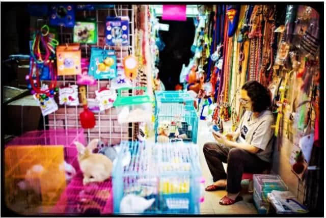 爱在记忆中找你:状元坊仲剩低啲乜? 爱在记忆中找你:状元坊仲剩低啲乜?