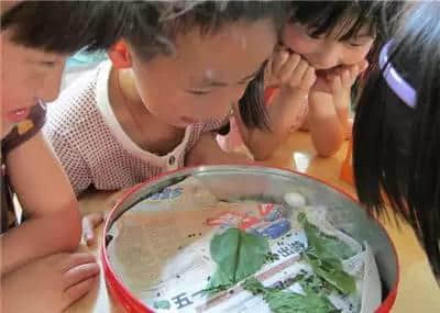 听讲上世纪出世嘅广州人,都有呢啲人生经历! 听讲上世纪出世嘅广州人,都有呢啲人生经历!