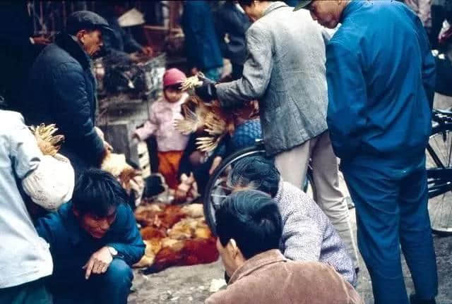 一九八四 · 我想睇睇当时嘅广州