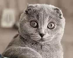 喺广州,女仔嘅外表究竟有几重要? 喺广州,女仔嘅外表究竟有几重要?