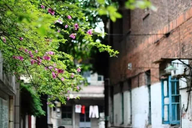 广州那些沉淀住人情味嘅街巷,你有几耐冇行过? 广州那些沉淀住人情味嘅街巷,你有几耐冇行过?