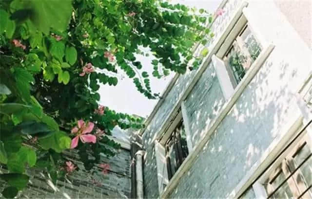 广州那些沉淀住人情味嘅街巷,你有几耐冇行过? 广州那些沉淀住人情味嘅街巷,你有几耐冇行过?