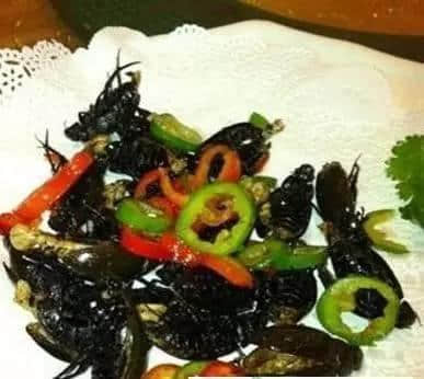 外地人理解唔到嘅广州美食,全程高能冇尿点…… 外地人理解唔到嘅广州美食,全程高能冇尿点……