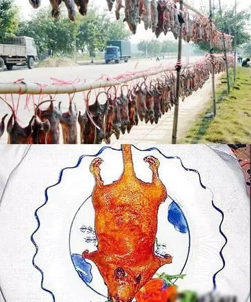 外地人理解唔到嘅广州美食,全程高能冇尿点…… 外地人理解唔到嘅广州美食,全程高能冇尿点……