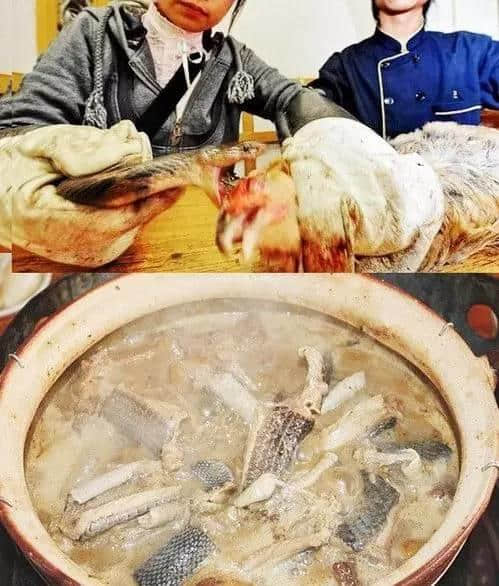 外地人理解唔到嘅广州美食,全程高能冇尿点…… 外地人理解唔到嘅广州美食,全程高能冇尿点……