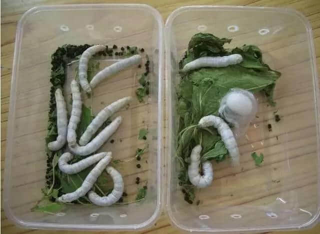 重返80、90年代，你最想带走边样嘢？