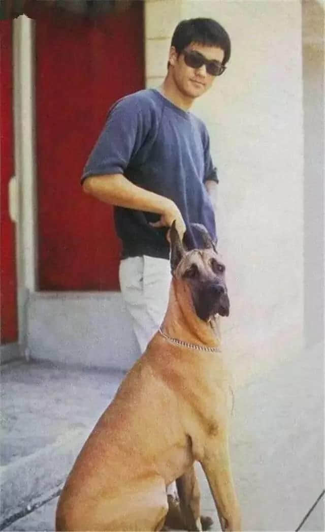 全世界都知道李小龙劲抽,佢究竟劲喺边? 全世界都知道李小龙劲抽,佢究竟劲喺边?