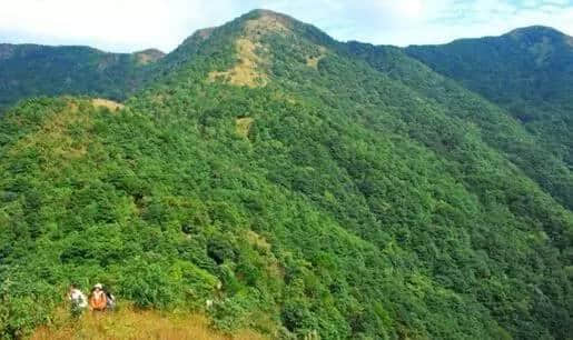 广州仲有咩秘密你唔知?睇完先讲啦! 广州仲有咩秘密你唔知?睇完先讲啦!