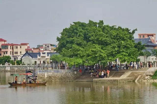 广州仲有咩秘密你唔知?睇完先讲啦! 广州仲有咩秘密你唔知?睇完先讲啦!