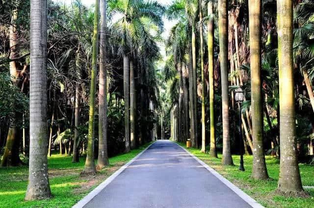 广州仲有咩秘密你唔知?睇完先讲啦! 广州仲有咩秘密你唔知?睇完先讲啦!