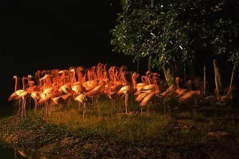 广州仲有咩秘密你唔知?睇完先讲啦! 广州仲有咩秘密你唔知?睇完先讲啦!