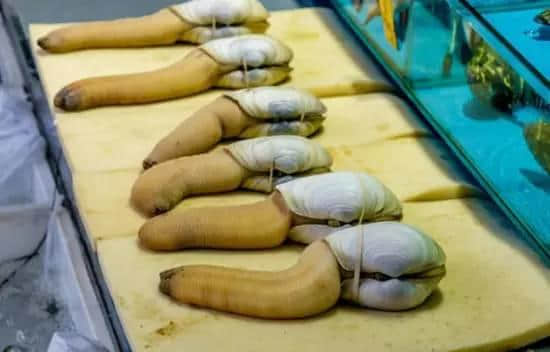 广州人气海鲜市场逐个数,识饮识食至巴闭! 广州人气海鲜市场逐个数,识饮识食至巴闭!