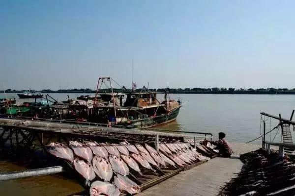 广州人气海鲜市场逐个数,识饮识食至巴闭! 广州人气海鲜市场逐个数,识饮识食至巴闭!