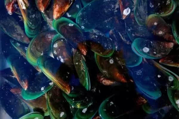 广州人气海鲜市场逐个数,识饮识食至巴闭! 广州人气海鲜市场逐个数,识饮识食至巴闭!