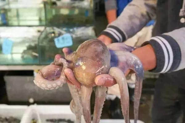 广州人气海鲜市场逐个数,识饮识食至巴闭! 广州人气海鲜市场逐个数,识饮识食至巴闭!