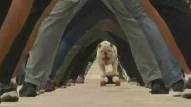 广州仔女,有冇觉得自己畀老窦老母水咗十几年? 广州仔女,有冇觉得自己畀老窦老母水咗十几年?