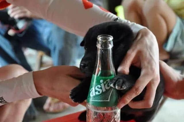 饮落似风油,闻落似皮炎平,但佢系广东人童年最爱嘅饮料。 饮落似风油,闻落似皮炎平,但佢系广东人童年最爱嘅饮料。