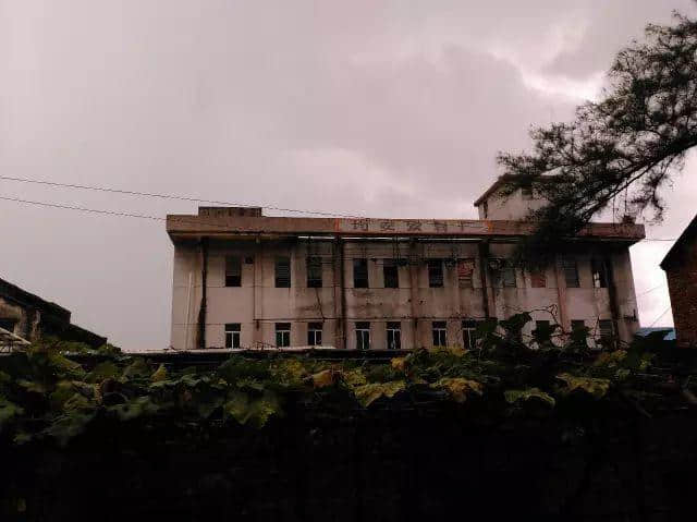 饮落似风油,闻落似皮炎平,但佢系广东人童年最爱嘅饮料。 饮落似风油,闻落似皮炎平,但佢系广东人童年最爱嘅饮料。