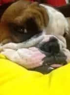 呢啲歌名用粤语讲出嚟,啲意境真系差咗10万8千里... 呢啲歌名用粤语讲出嚟,啲意境真系差咗10万8千里...