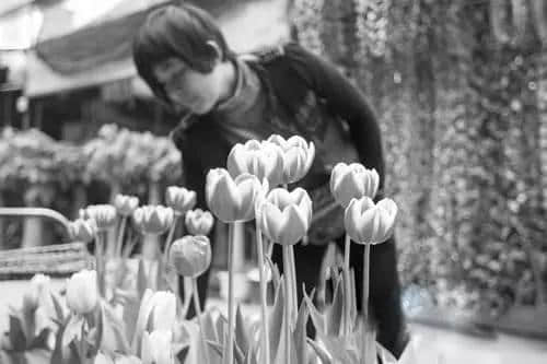 旧书墟、花墟、古董墟,呢啲“天光墟”你趁过未? 旧书墟、花墟、古董墟,呢啲“天光墟”你趁过未?