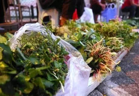 旧书墟、花墟、古董墟,呢啲“天光墟”你趁过未? 旧书墟、花墟、古董墟,呢啲“天光墟”你趁过未?