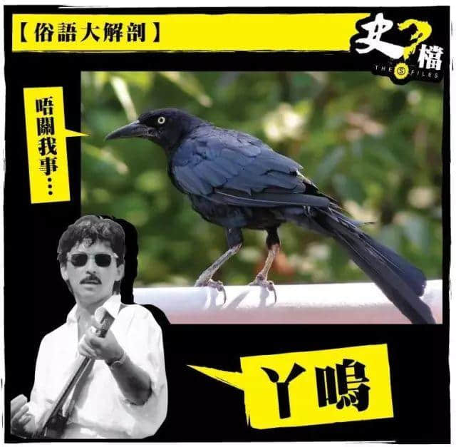 细个阿妈成日都话“丫呜”婆嚟捉我,“丫呜”究竟系乜嚟啊? 细个阿妈成日都话“丫呜”婆嚟捉我,“丫呜”究竟系乜嚟啊?