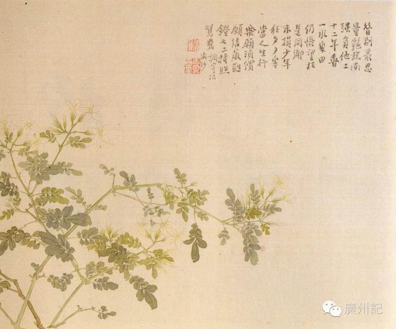 十香園的十香花,究竟是邊十種? 十香園的十香花,究竟是邊十種?