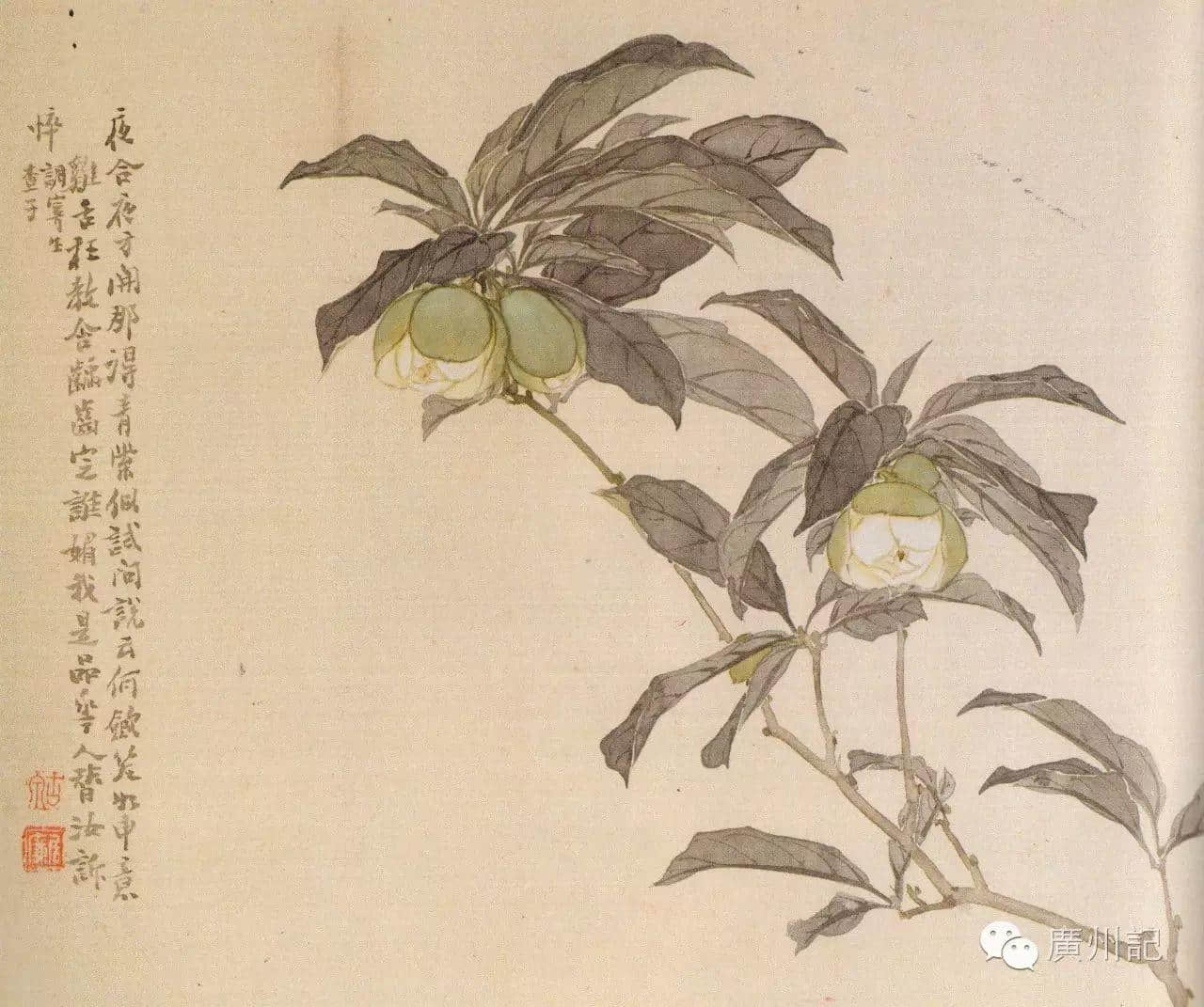 十香園的十香花,究竟是邊十種? 十香園的十香花,究竟是邊十種?