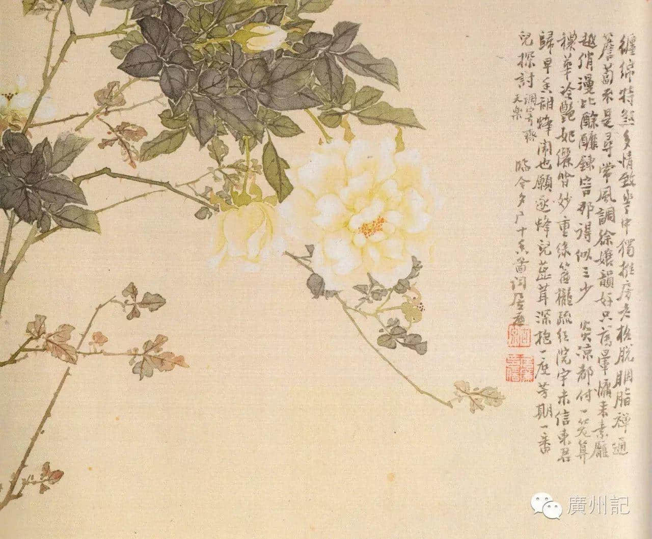 十香園的十香花,究竟是邊十種? 十香園的十香花,究竟是邊十種?