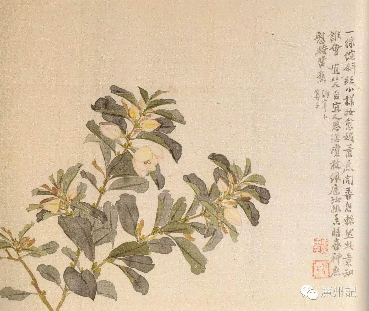 十香園的十香花,究竟是邊十種? 十香園的十香花,究竟是邊十種?