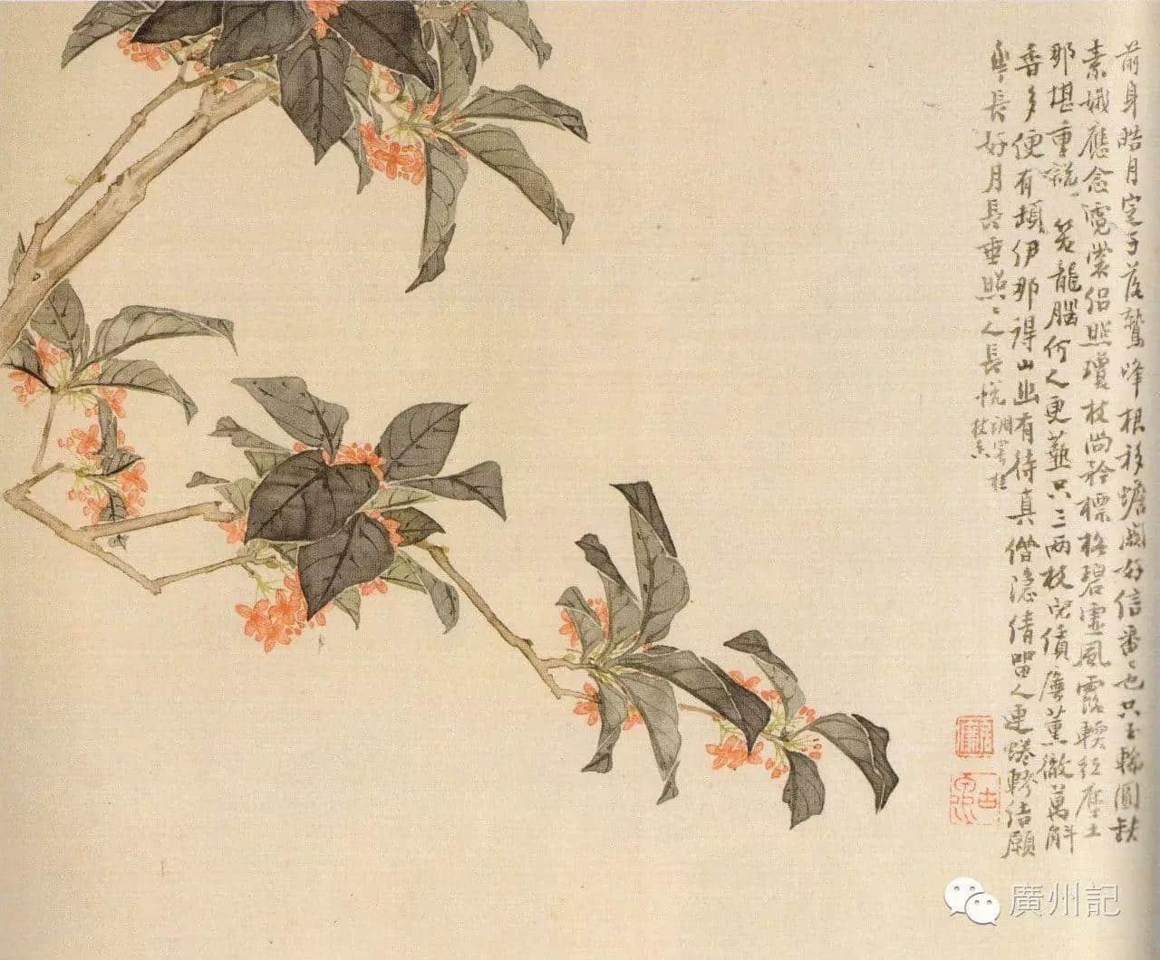 十香園的十香花,究竟是邊十種? 十香園的十香花,究竟是邊十種?