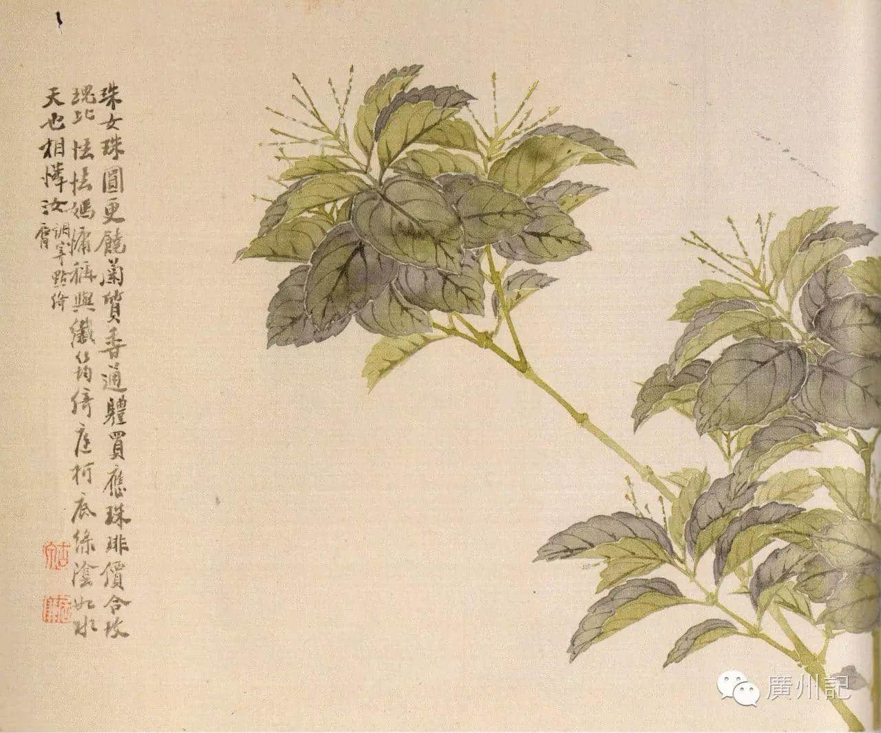 十香園的十香花,究竟是邊十種? 十香園的十香花,究竟是邊十種?