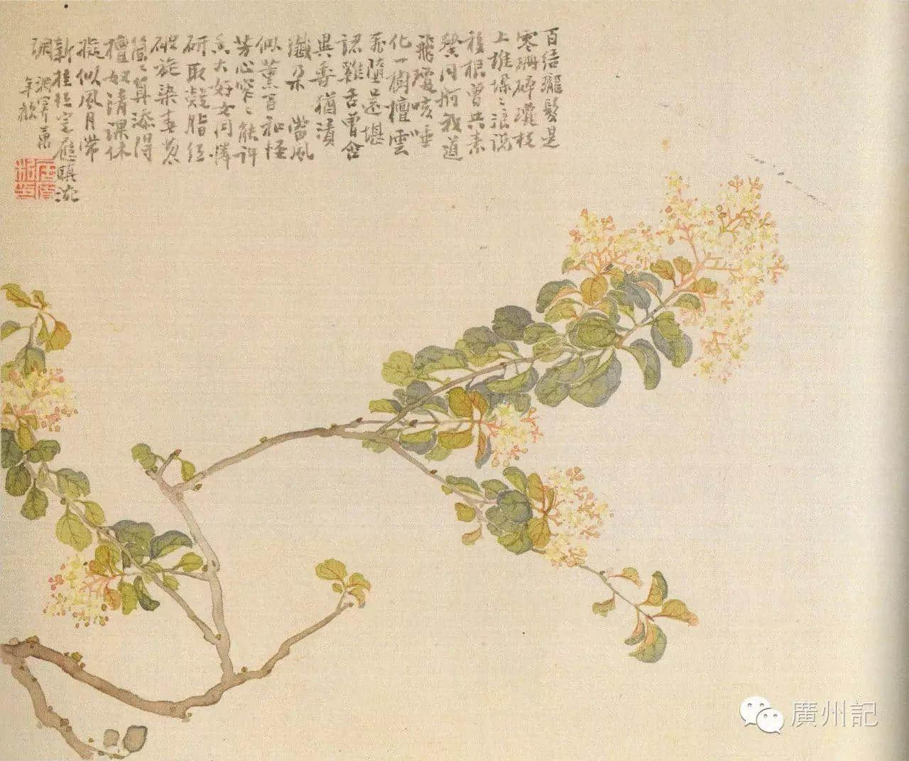 十香園的十香花,究竟是邊十種? 十香園的十香花,究竟是邊十種?