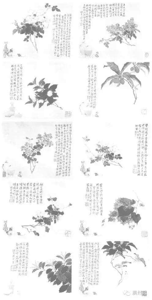 十香園的十香花,究竟是邊十種? 十香園的十香花,究竟是邊十種?