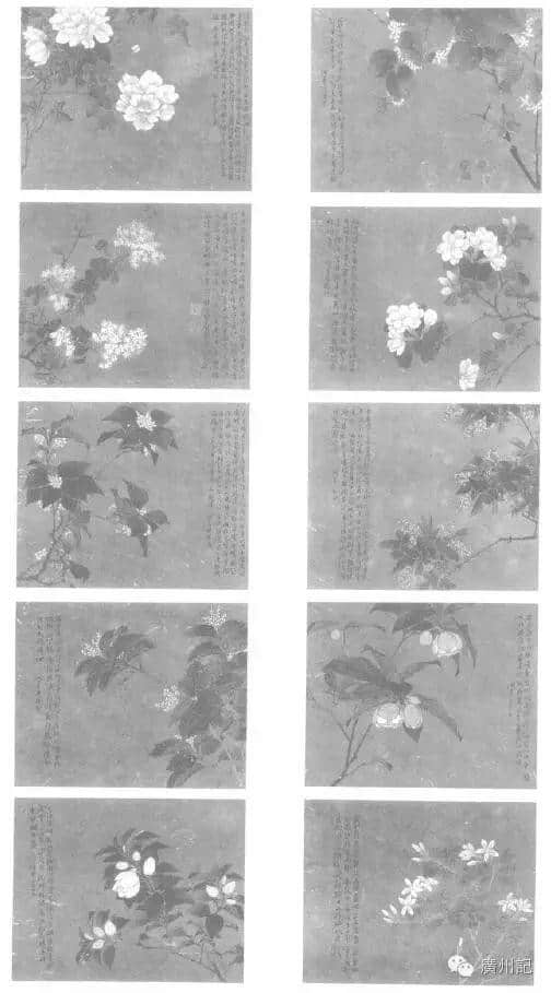 十香園的十香花,究竟是邊十種? 十香園的十香花,究竟是邊十種?