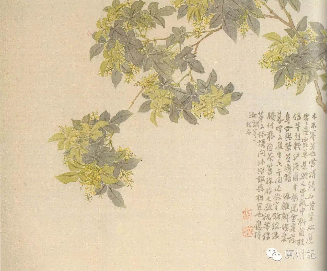 十香園的十香花,究竟是邊十種? 十香園的十香花,究竟是邊十種?