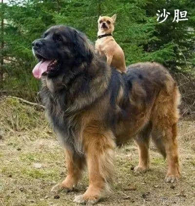 “插座”嘅粤语系咩?“灯泡”嘅粤语又系咩?再唔讲真系冇人识嘎啦! “插座”嘅粤语系咩?“灯泡”嘅粤语又系咩?再唔讲真系冇人识嘎啦!