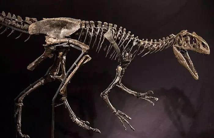 纠缠、妩媚、憧憬、模拟......呢啲易错词,你读得啱几多? 纠缠、妩媚、憧憬、模拟......呢啲易错词,你读得啱几多?