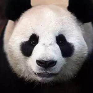 粤语中最热门嘅“神”,睇下你撞过几个? 粤语中最热门嘅“神”,睇下你撞过几个?