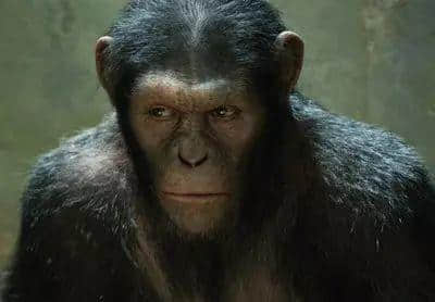 粤语中最热门嘅“神”,睇下你撞过几个? 粤语中最热门嘅“神”,睇下你撞过几个?