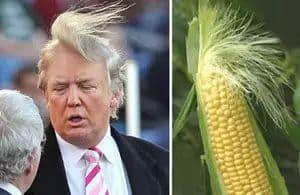 睇美国大选都可以学粤语?呢铺真系犀鸠利! 睇美国大选都可以学粤语?呢铺真系犀鸠利!