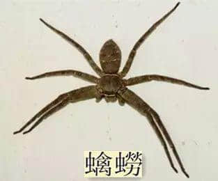 越嚟越少人用嘅粤语“老词”,你仲识得几多? 越嚟越少人用嘅粤语“老词”,你仲识得几多?