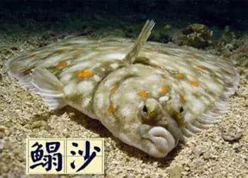 越嚟越少人用嘅粤语“老词”,你仲识得几多? 越嚟越少人用嘅粤语“老词”,你仲识得几多?