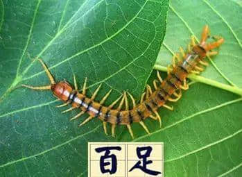 越嚟越少人用嘅粤语“老词”,你仲识得几多? 越嚟越少人用嘅粤语“老词”,你仲识得几多?