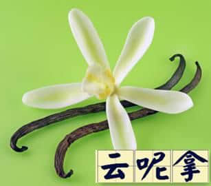 越嚟越少人用嘅粤语“老词”,你仲识得几多? 越嚟越少人用嘅粤语“老词”,你仲识得几多?