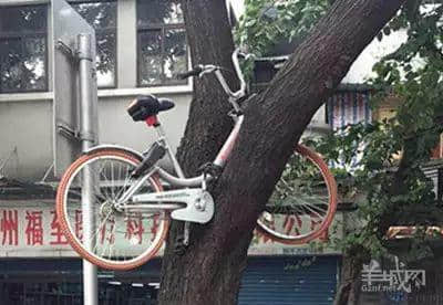 究竟,我们值不值得拥有共享单车? 究竟,我们值不值得拥有共享单车?